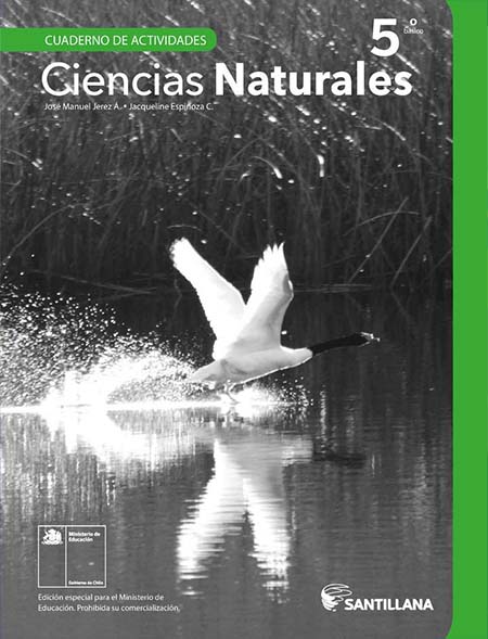 cuaderno de actividades Ciencias Naturales 5º Básico pdf para descargar