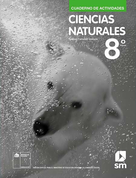 Cuaderno de Actividades Ciencias Naturales 8º Básico pdf para descargar