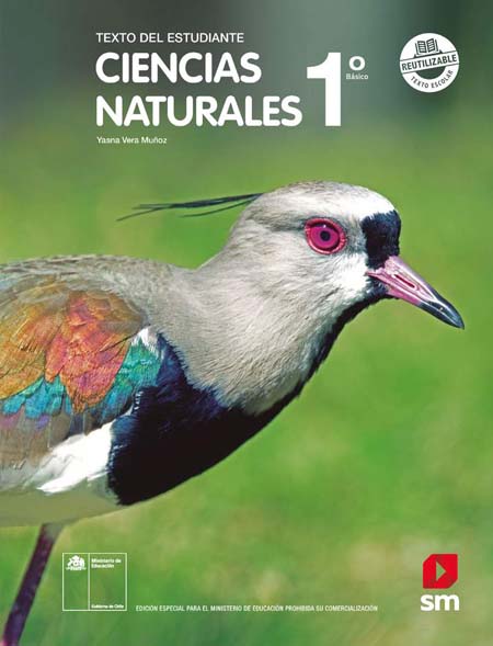 Libro de Ciencias Naturales 1º Básico pdf para descargar