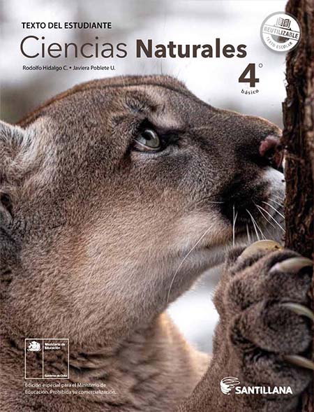 libro de Ciencias Naturales 4º Básico pdf para descargar